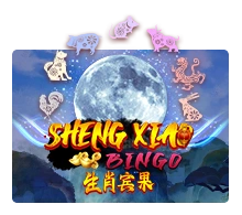 Sheng Xiao Bingo - GECKO158