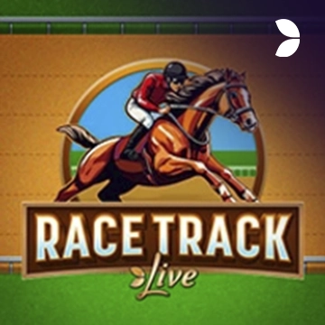 Race Track - GECKO158