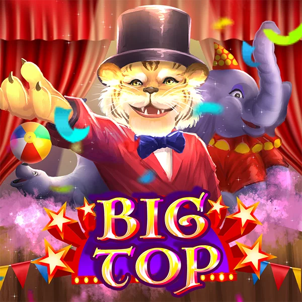 Big Top - GECKO158