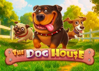 Pragmatic : The Dog House - GECKO158